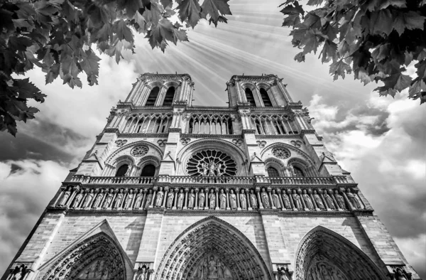 Catedral de Notre-Dame de París Francia Fotografía en blanco y negro —  Fotos de Stock