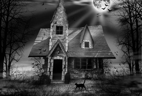 Spookhuis Zwart-wit Fotografie — Stockfoto