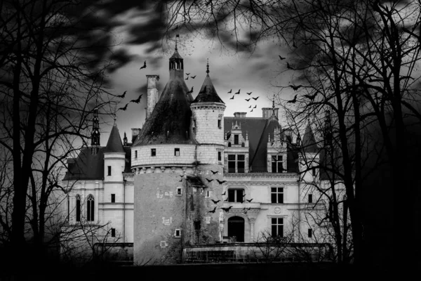 Maison hantée Photographie noir et blanc — Photo