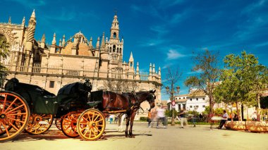 Seville, İspanya - 10 Şubat 2020: Atlar ve Arabalar Güzel Sevilla İspanya Şehir Merkezi 'nde turistleri bekliyor