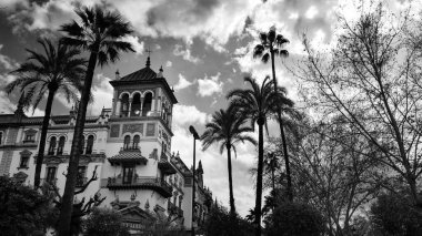 Seville, İspanya - 10 Şubat 2020: Güzel Sevilla İspanya Şehir Merkezi 'nde Palmiye Ağaçlı Siyah ve Beyaz Mimarlık