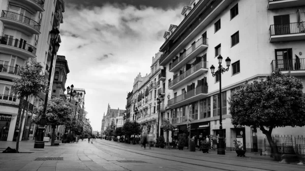 2013 Seville Spain February 2020 Black White Photography Architecture Main — 스톡 사진