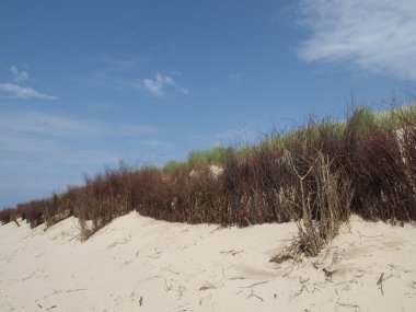 Ada langeoog