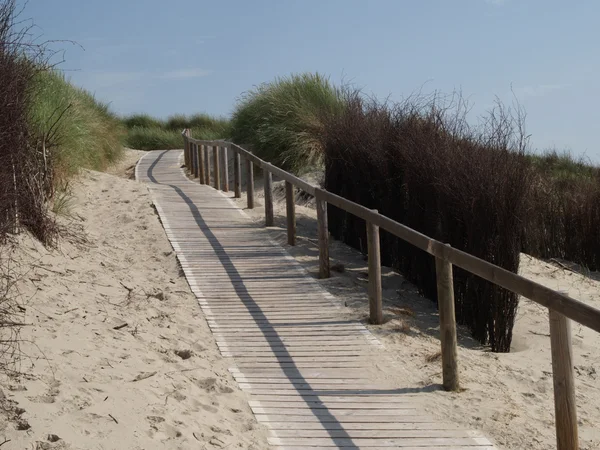 La Isla langeoog — Foto de Stock