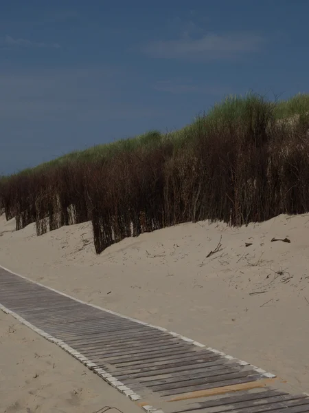 Den ön langeoog — Stockfoto