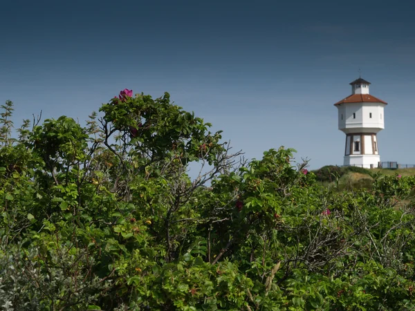 Die Insel langeoog — Stockfoto