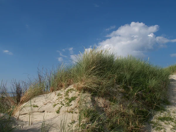 Пляж langeoog — стокове фото