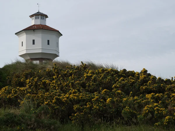 O langeoog de ilha — Fotografia de Stock