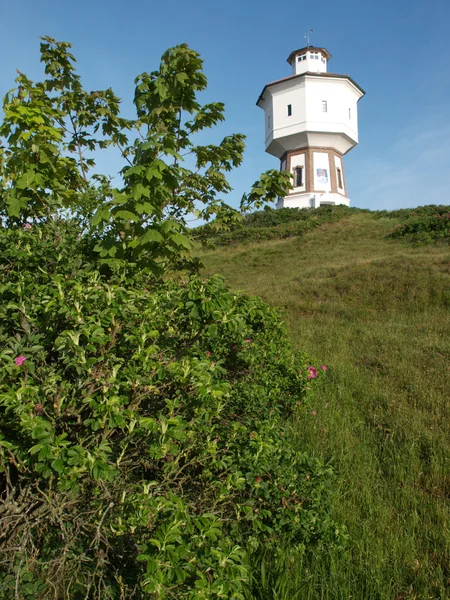 岛 langeoog — 图库照片