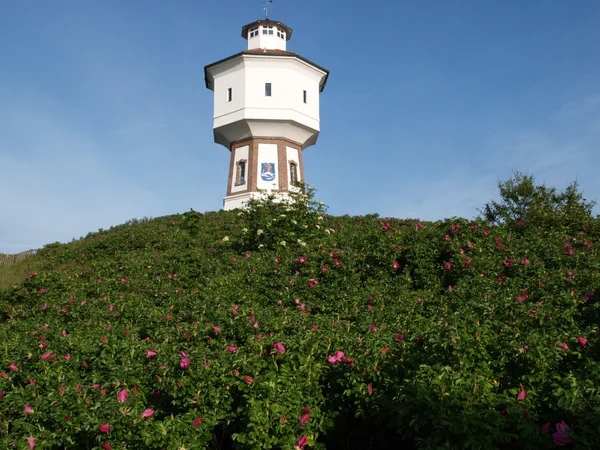 Wyspie langeoog — Zdjęcie stockowe