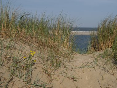 Ada langeoog
