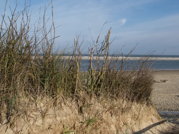 Die Insel langeoog — Stockfoto