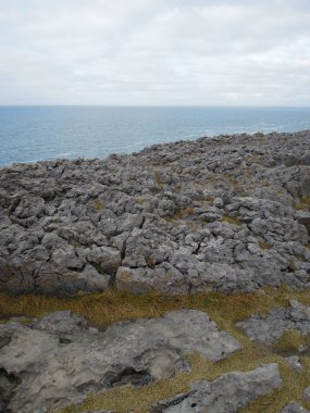 İrlanda kıyıları