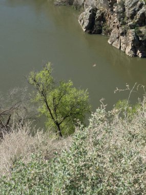 river tagus İspanya