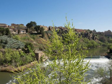 Toledo şehir