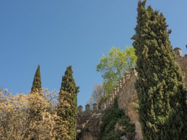 Toledo şehir