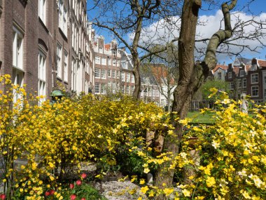 Amsterdam Hollanda 'da