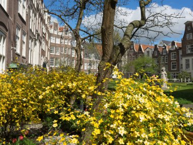 Amsterdam Hollanda 'da