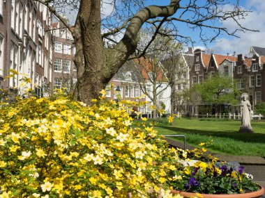 Amsterdam Hollanda 'da