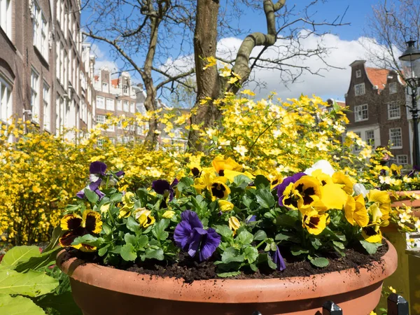 Amsterdã na Holanda — Fotografia de Stock