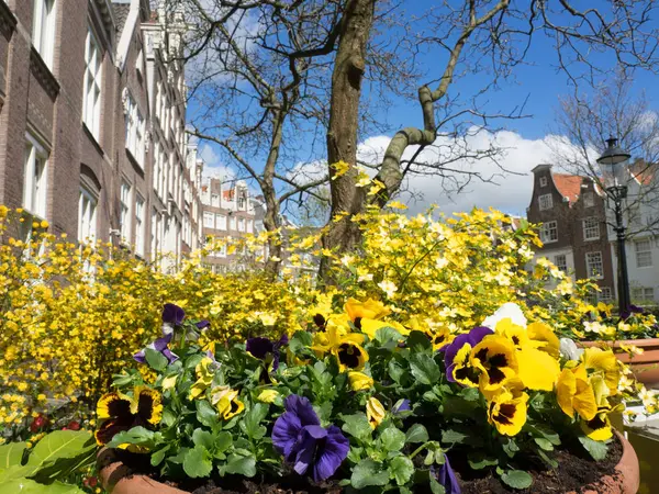 Amsterdam Hollanda 'da — Stok fotoğraf