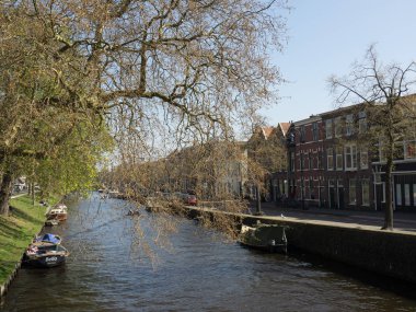 Hollanda 'daki Haarlem