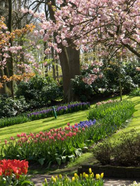 Hollanda ilkbaharda