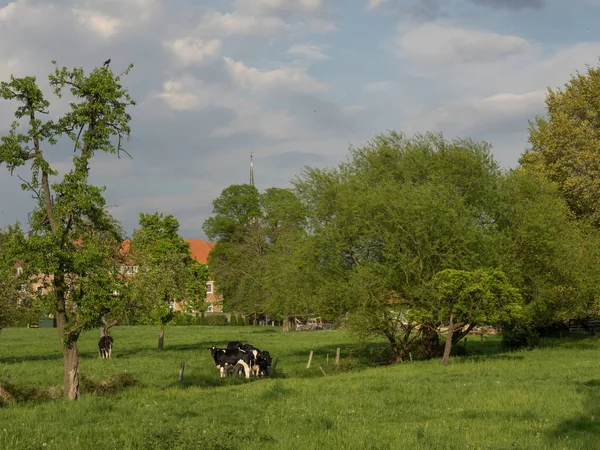 W niemieckim Calypso — Zdjęcie stockowe