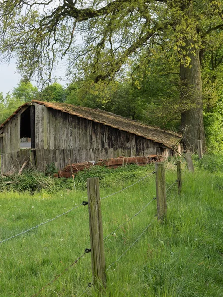 In the german muensterland — Stock Photo, Image