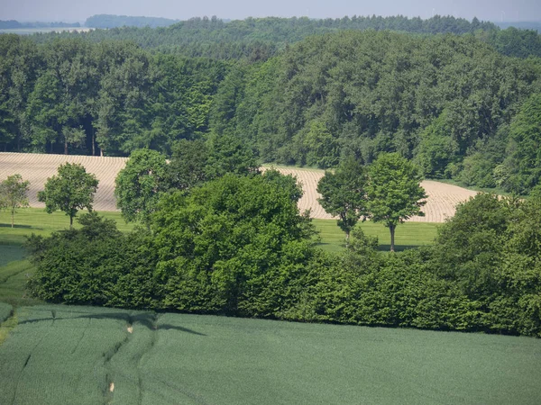 A baumberge Németországban — Stock Fotó