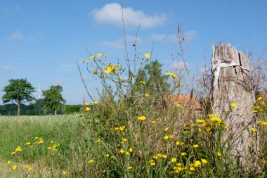 Yaz aylarında Almanya