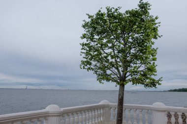 Saint petersburg, Rusya