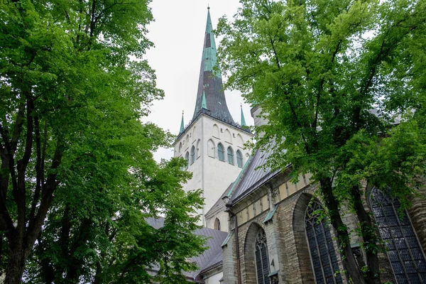 De stad Tallin in Estland — Stockfoto