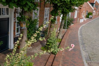 Almanya'da Köyü ditzum