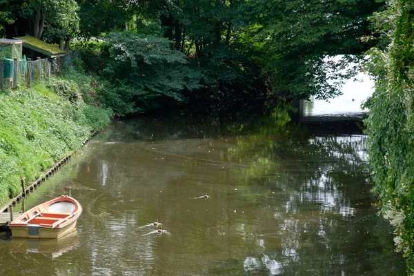 Almanya'da Köyü ditzum