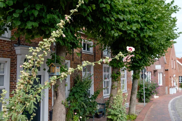 Almanya 'da kötü Lippspringe