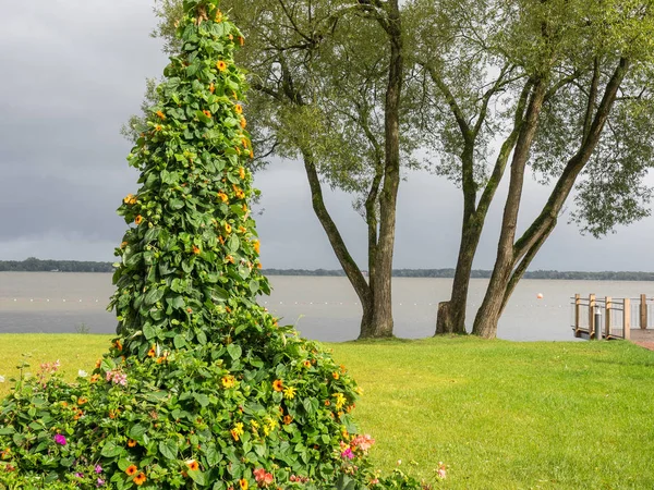 Almanya 'da kötü Zwischenahn