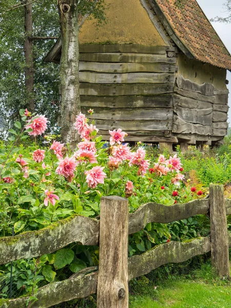 Bad Zwischenahn in Germany — Stock Photo, Image