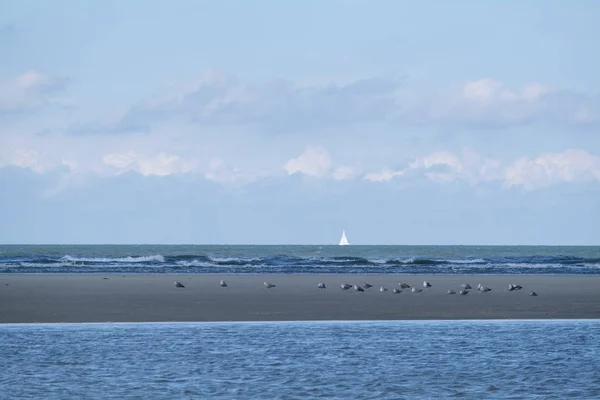 Het eiland spiekeroog — Stockfoto