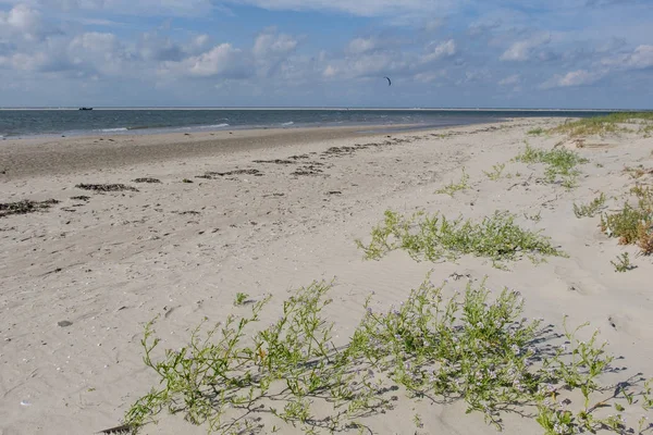 Den ön spiekeroog — Stockfoto