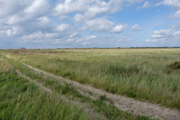 Na ostrově spiekeroog — Stock fotografie