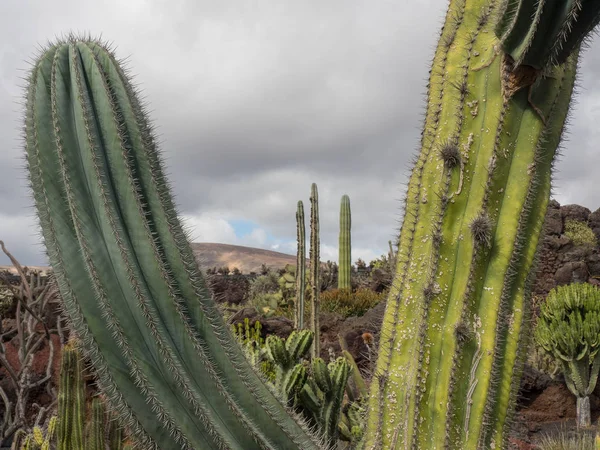 Španělský Ostrov Lanzarote — Stock fotografie