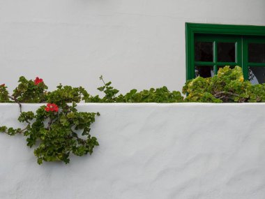 Lanzarote İspanyol Adası