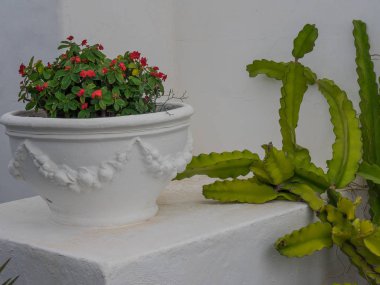 Lanzarote İspanyol Adası