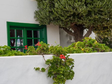 Lanzarote İspanyol Adası