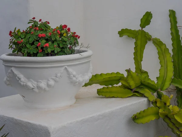 Isola Spagnola Lanzarote — Foto Stock