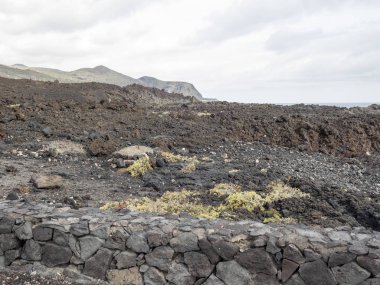 İspanyol la palma Adası