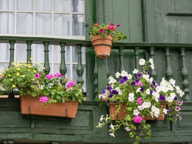 İspanyol la palma Adası