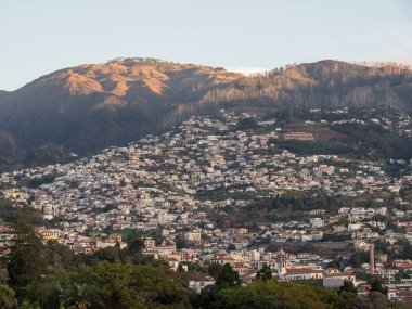 Madeira Adası.