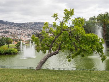 Portekiz madeira Adası